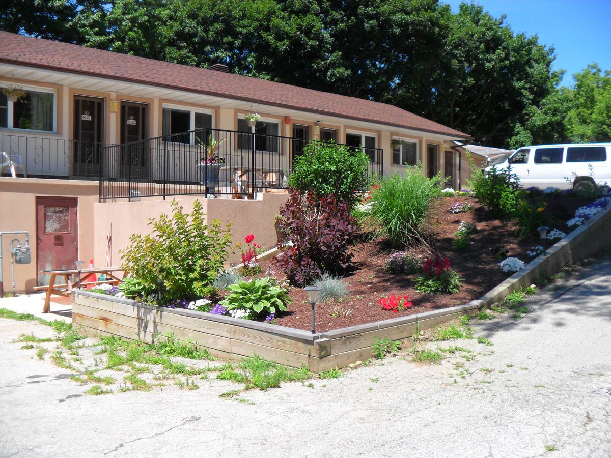 Forest Plaza Motel Mount Forest Exterior foto